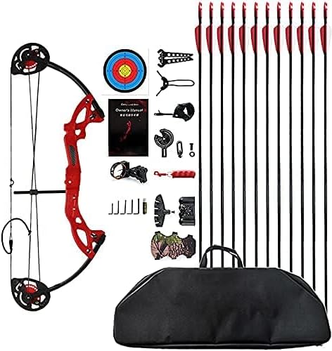 Compound Bow Archery for Youth and Beginner, Right Handed,19”-28” Draw Length,15-29 Lbs Draw Weight, 260 fps