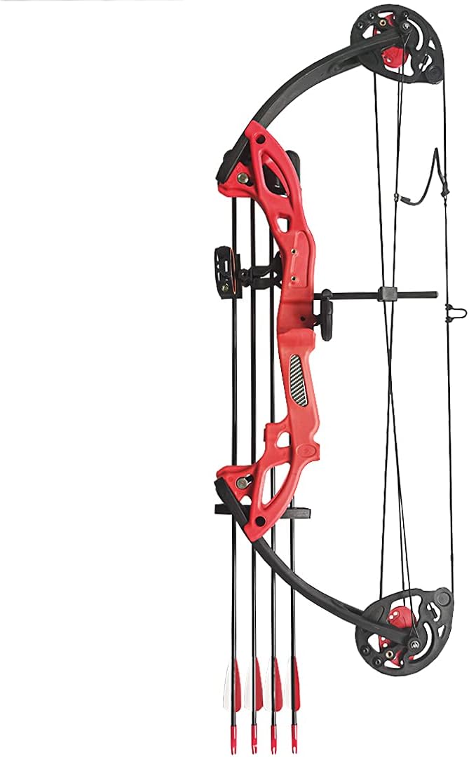 Compound Bow Archery for Youth and Beginner, Right Handed,19”-28” Draw Length,15-29 Lbs Draw Weight, 260 fps