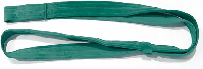 4.9ft (1.5m) Aerial Loops Straps – Professional Aerial Yoga Ropes for Acrobatics, Circus Training & Fitness – Strong Nylon Trapeze Straps for Aerial Silks, Hammock, Dance & Performance Arts-FlexoryFit