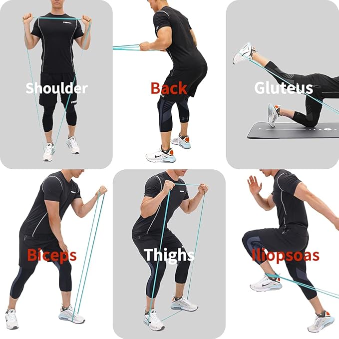 PROIRON Resistance Bands,Pull Up Assistance Bands,Exercise Workout Band for Men & Women,Thick Heavy Duty Resistance Band Set for Working Out,Stretching, Physical Therapy-FlexoryFit