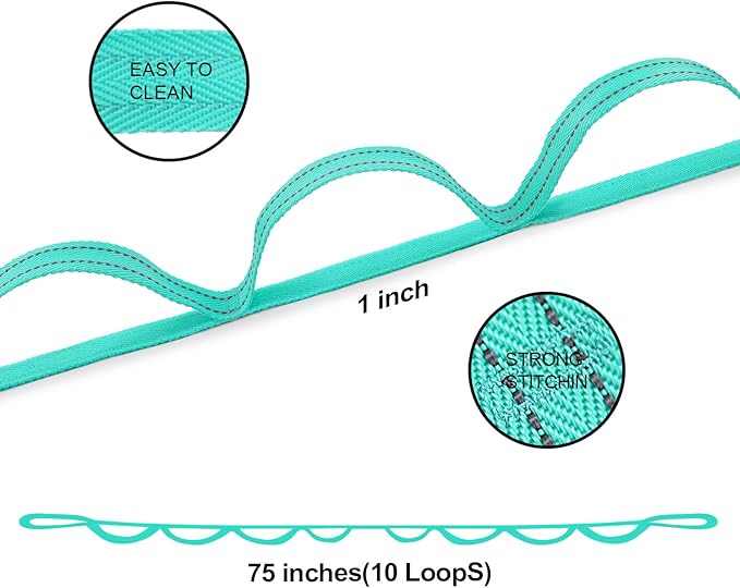 Premium Durable Stretch Straps with Loops, Stretching Strap for Physical Therapy, Multi-Loop Yoga Strap Fitness Exercise Strap for Yoga, Pilates, Dance, Flexibility&Exercise-FlexoryFit