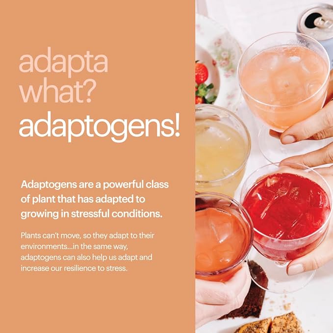 Heywell Sparkling Adaptogenic Water, Variety Pack 12 Fluid Ounce (Pack of 12) Includes - Lime, Grapefruit, Orange Mango, Strawberry Lemon - Calm Drink, Sparkling Drink-FlexoryFit