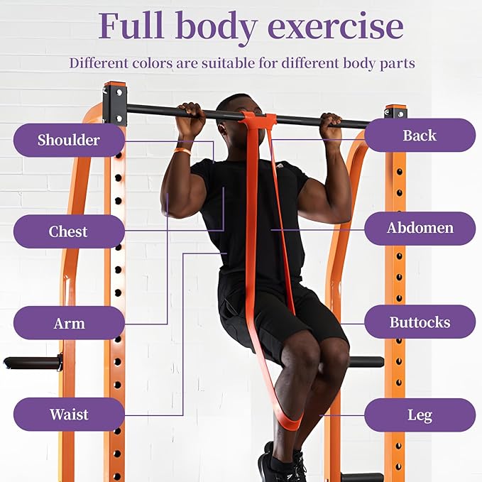 Resistance Bands for Working Out, Pull Up Assistance Bands, Exercise Workout Bands for Men & Women, Gym Bands with Door Anchor & Handle, Stretching Bands for Physical Therapy, Muscle Training-FlexoryFit