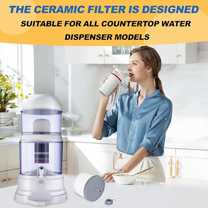Replacement Ceramic Dome Water Filter with Coconut Shell Activated Carbon, 0.2 to 0.5 micron for Countertop Water Filter System 2PACK
