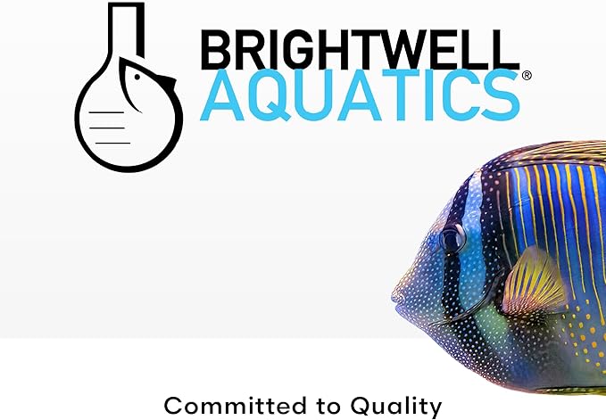 Brightwell Aquatics SpongExcel – Ionic Silica Solution for Marine Sponge & Gastropod Growth in Marine Aquariums, Boosts Water Quality, 2 L