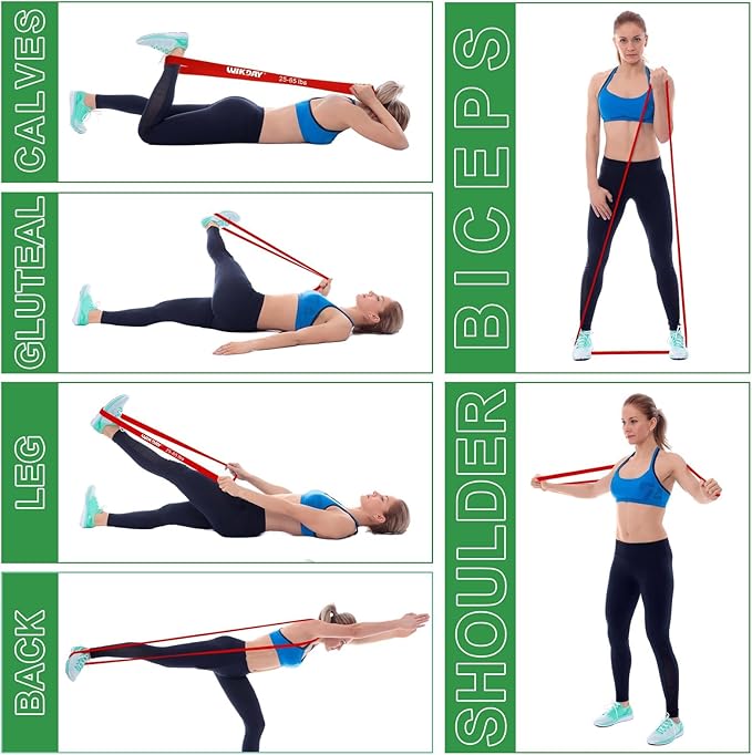 Resistance Bands for Working Out, Exercise Bands, Workout Bands, Pull Up Assistance Bands for Body Stretching Training Physical Therapy Muscle Training for Men & Women-FlexoryFit