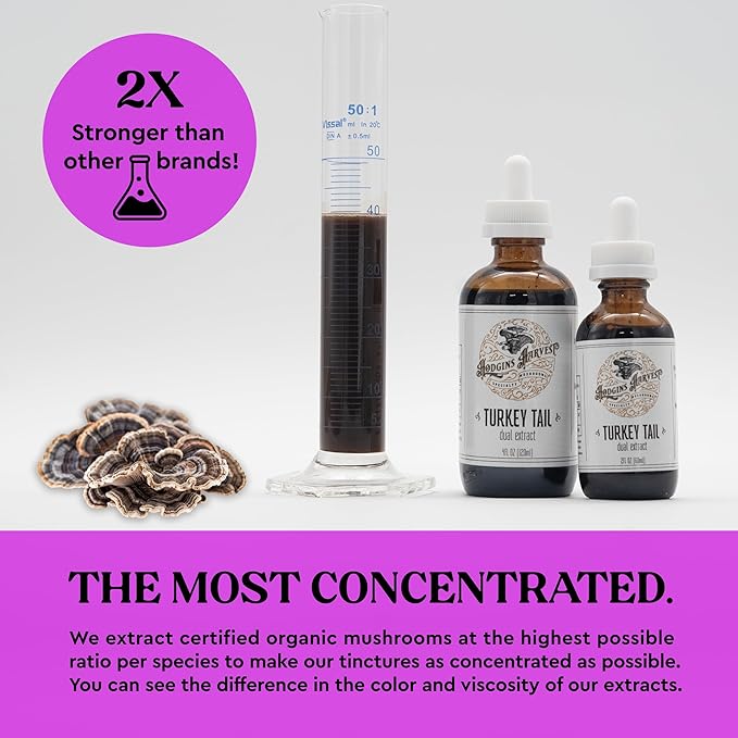 Hodgins Harvest Organic Turkey Tail Tincture | Made with Mushrooms Grown On Our Farm in The USA | Dual Extract | Extra-Concentrated (4 fl oz)-FlexoryFit