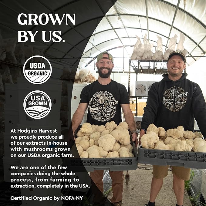 Hodgins Harvest Organic Lion's Mane Tincture | Made with Mushrooms Grown On Our Farm in The USA | Dual Extract | Extra-Concentrated (4 fl oz)-FlexoryFit
