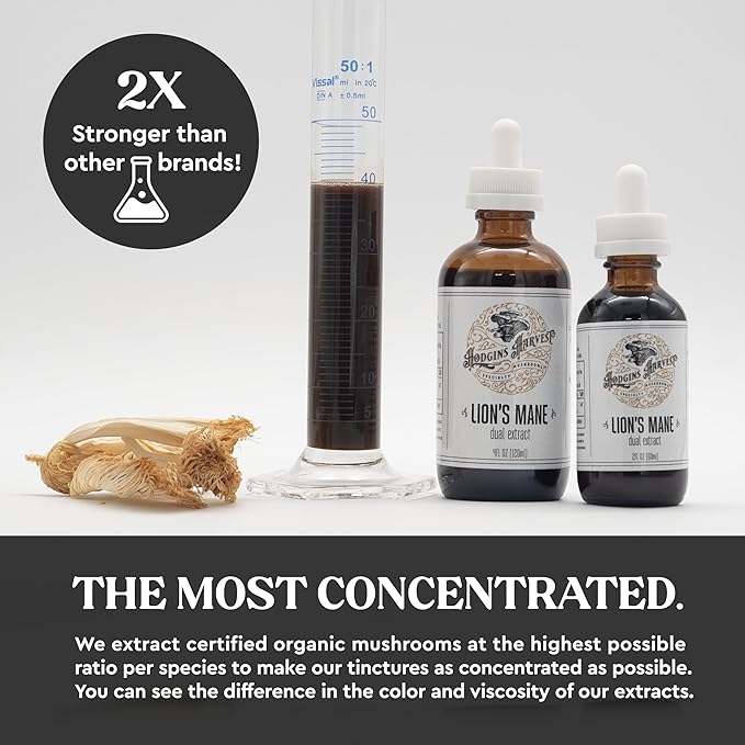 Hodgins Harvest Organic Lion's Mane Fruiting Body Extract Tincture - Mushroom Supplement for Brain Health and Mental Focus - Dual Extract Formula - Extra Concentrated - 2 fl oz Bottle-FlexoryFit