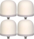 Ceramic Dome Water Filter Element with Silver Purification (4)