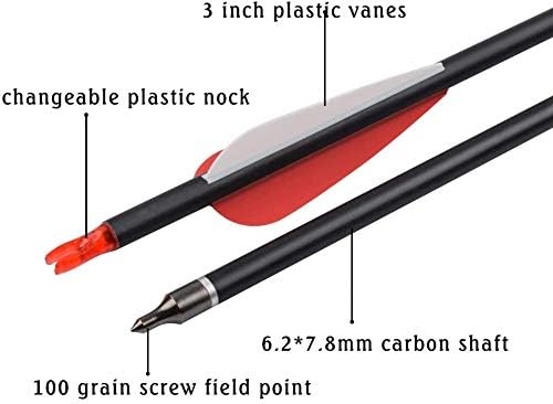 YLS Archery 26/28/30Inch Carbon Arrow Practice Hunting Arrows with100 Grain Removable Tips for Compound & Recurve Bow(Pack of 12)