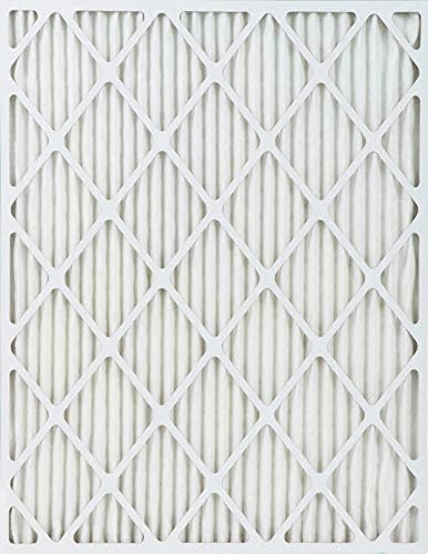 True Blue 312301.4 Allergen Protection Air Filter, 4 Count (Pack of 1), White