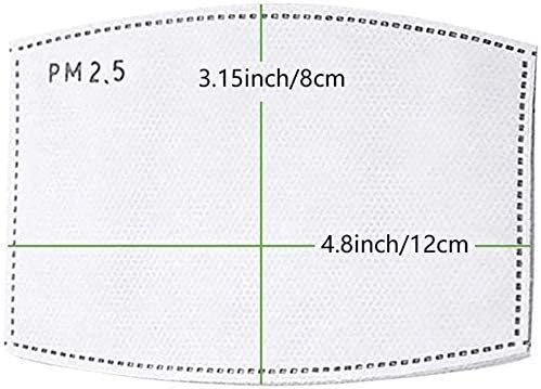 200pcs PM2.5 Activated Carbon Filter Insert Replaceable Sheets for Cloth Mask Ship from USA, 5 Layer PM2.5 Filter for Face Cover (200)