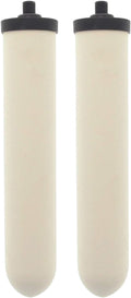 Doulton W9123053 UltraCarb 10 Inch Ceramic Candle Filter Cartridge (2 PACK)
