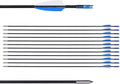 LWANO 31" Training Arrows-Archery Practice Target Arrows for Kids Youth or Beginners with Durable Shaft on Recurve Bow Compound Bow and Longbow