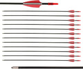LWANO 28" Fiberglass Arrows - Archery Practice Target Arrows with Blunt Tips Durable Shaft for Youth Kids Children Beginners on Recurve&Long Bows(Pack of 12)