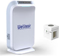 Wellis Air Purifier for Home, Electric HEPA Filter, Large 14.5x8.6x5.9 Inches by INWEG