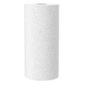 Replacement Cartridge Sediment Filter for Whole House Water Filter OM-UF04, 1 Pack