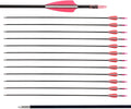 LWANO 28" Fiberglass Arrows - Archery Practice Target Arrows with Blunt Tips Durable Shaft for Youth Kids Children Beginners on Recurve&Long Bows(Pack of 12)
