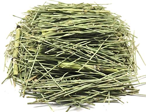 Horsetail Tea Cola de Caballo Hierba Herbal Tea Zip-Lock Bag (30g) 1.06oz- 100% Natural and Caffeine Free Detox-FlexoryFit