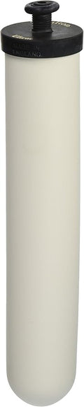 Doulton Ultracarb 10" Water Filter Candle, 2-pack (W9123053)