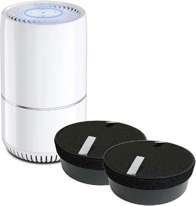 Nispira True HEPA H13 Air Filter Replacement Compatible with hOmeLabs Compact Air Purifier HME020248N with Night Light Office Bedroom, 2 Units