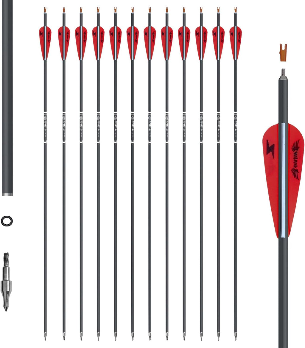 31inch Carbon Arrow Archery Targeting Practice Hunting Arrows for Compound & Recurve Bow with Removable Tips(Pack of 12)