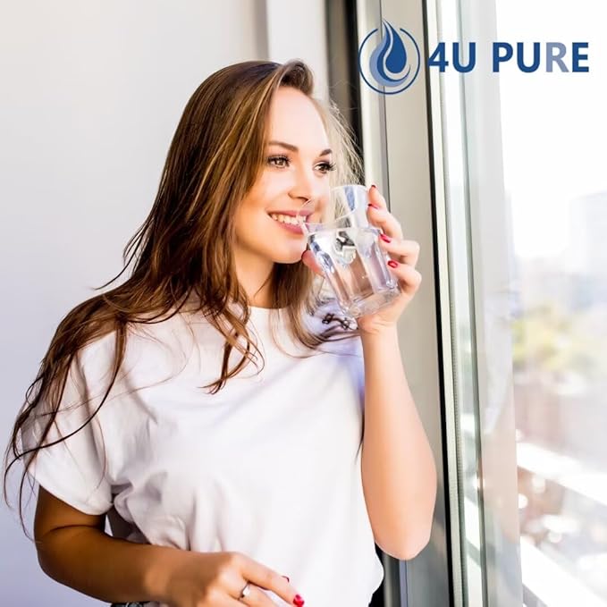 Replacement for Frigidaire ULTRAWF, Pure Source Ultra, Kenmore 9999, 469999, 46-9999, A0094E28261 Refrigerator Water Filter - Pack of 1 (Height 11 inches)