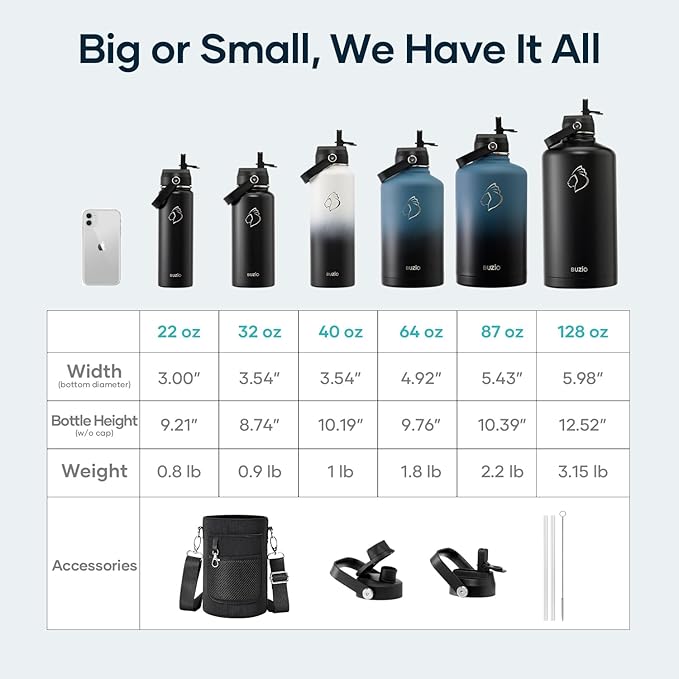 Insulated Water Bottle with Straw Lid, Modern Double Vacuum Stainless Steel Water Flask, Simple Half Gallon Water Jug, Metal Thermo Canteen Mug,87oz Sports Bottle-FlexoryFit