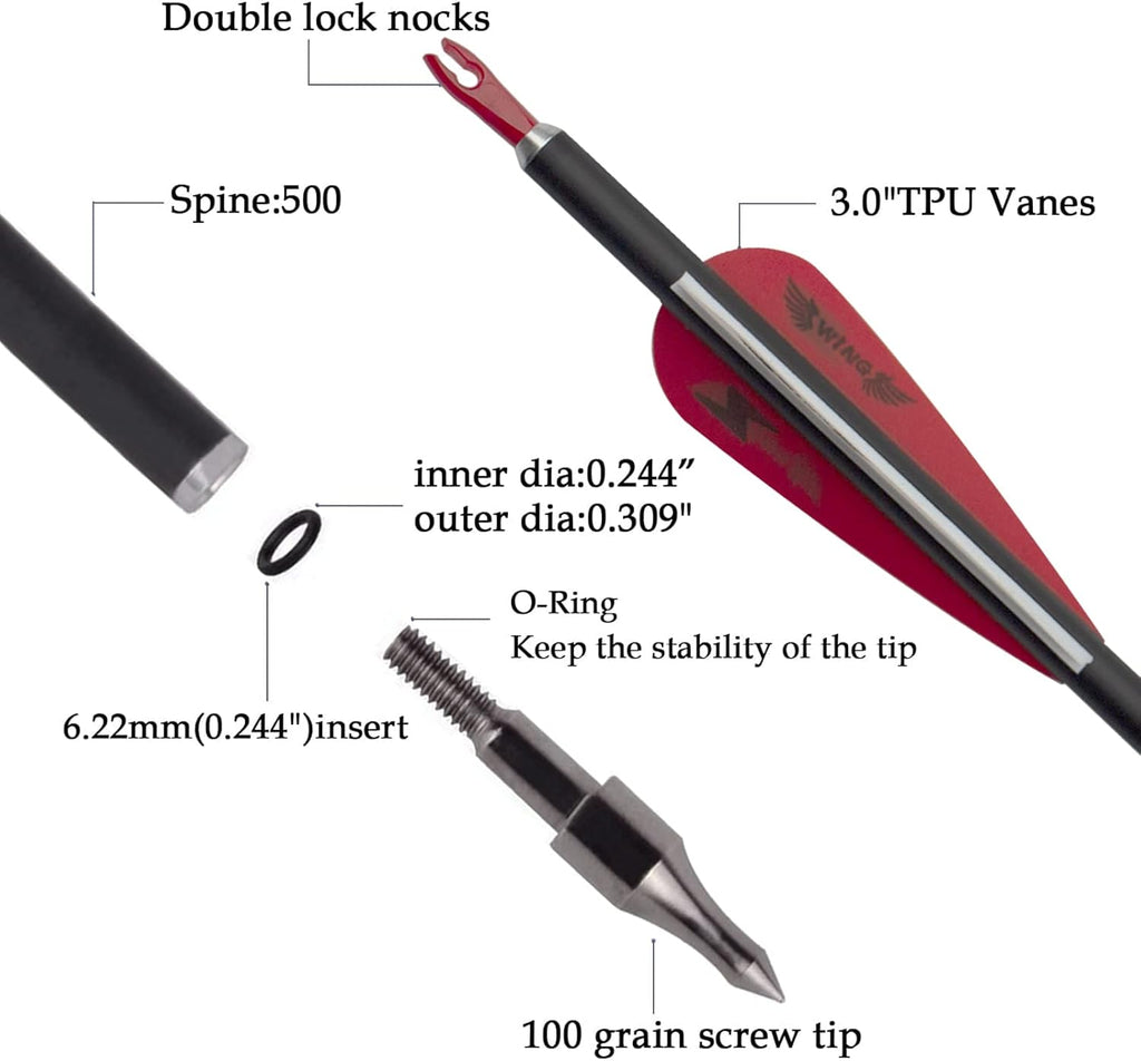31inch Carbon Arrow Archery Targeting Practice Hunting Arrows for Compound & Recurve Bow with Removable Tips(Pack of 12)