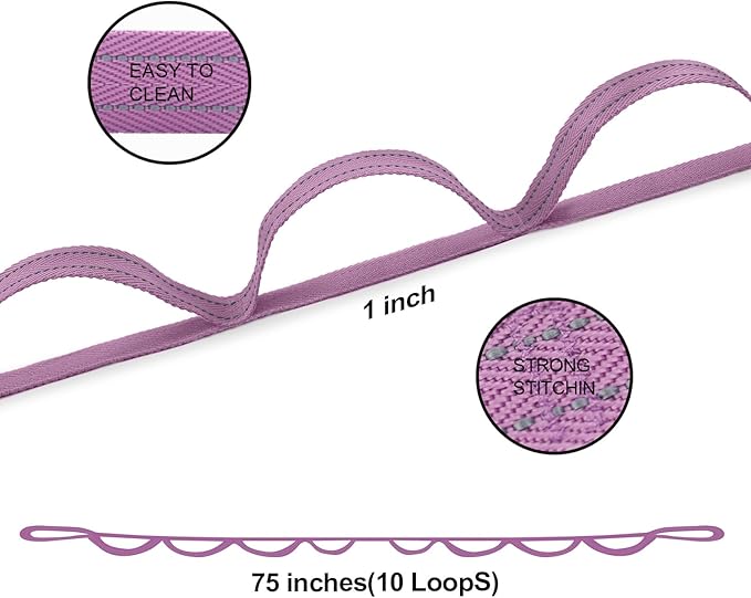 Premium Durable Stretch Straps with Loops, Stretching Strap for Physical Therapy, Multi-Loop Yoga Strap Fitness Exercise Strap for Yoga, Pilates, Dance, Flexibility&Exercise-FlexoryFit