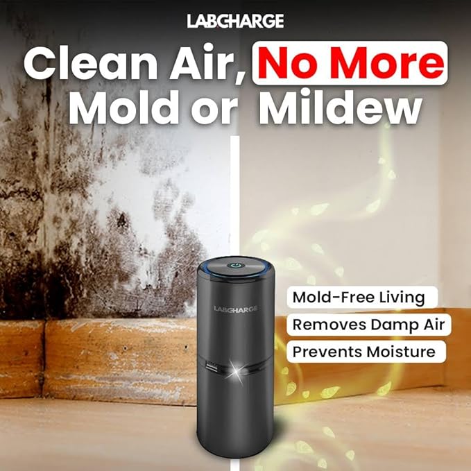 Small Ionic Air Purifier for Home & Bedroom – Silent HEPA Filter – Covers 250 Sq Ft - Free Cleaner for Pets, Hair, Smoke, Dust, Odors & Dander – Compact & Black Design - Pack of 3