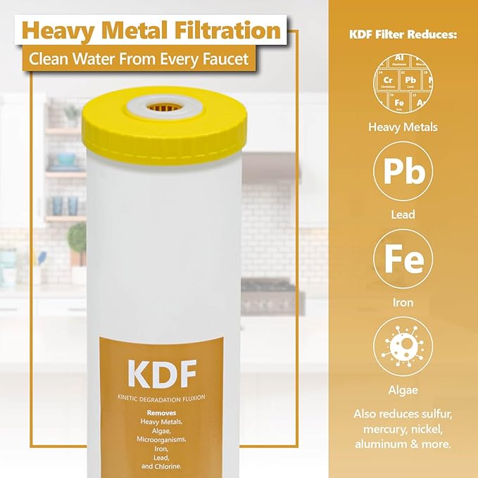 Express Water Polyphosphate Anti-Scale Water Replacement Filter – Whole House Replacement Water Filter – PHO High Capacity Water Filter – 4.5” x 20” inch – 2 Pack