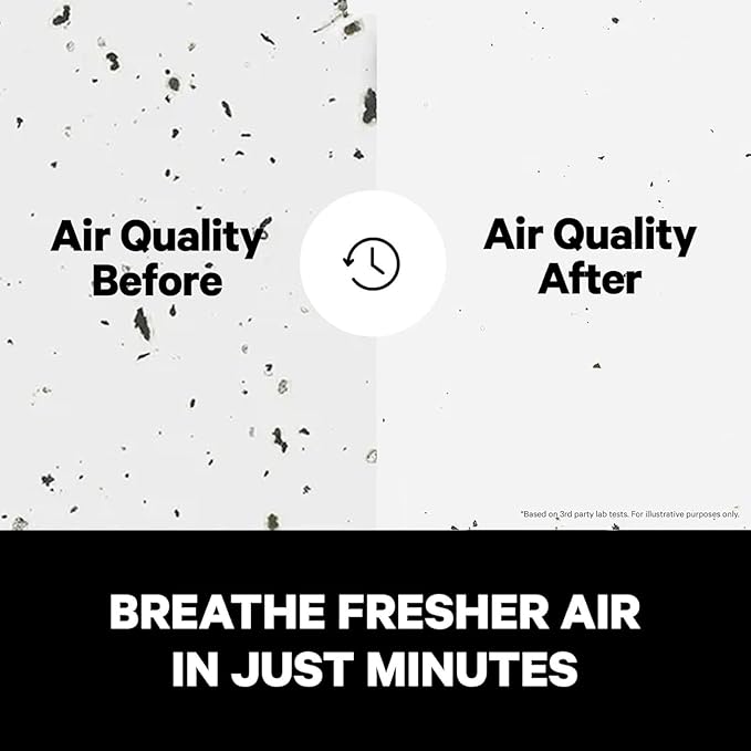 PuroAir 240 Replacement Filter - HEPA Filters up to 99.9% of Smoke, Pollen, Dust and Common Household Pollutants - HEPA Air Filter Replacement for PuroAir 240 Air Purifier (2 Pack)