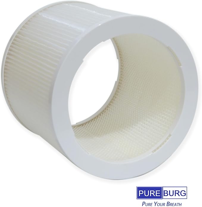 PUREBURG AS06FT-2 Replacement Filters Compatible with DH Lifelabs Aaira Mini Humidifier Hydrating Dry Air Purifier, 2-Pack