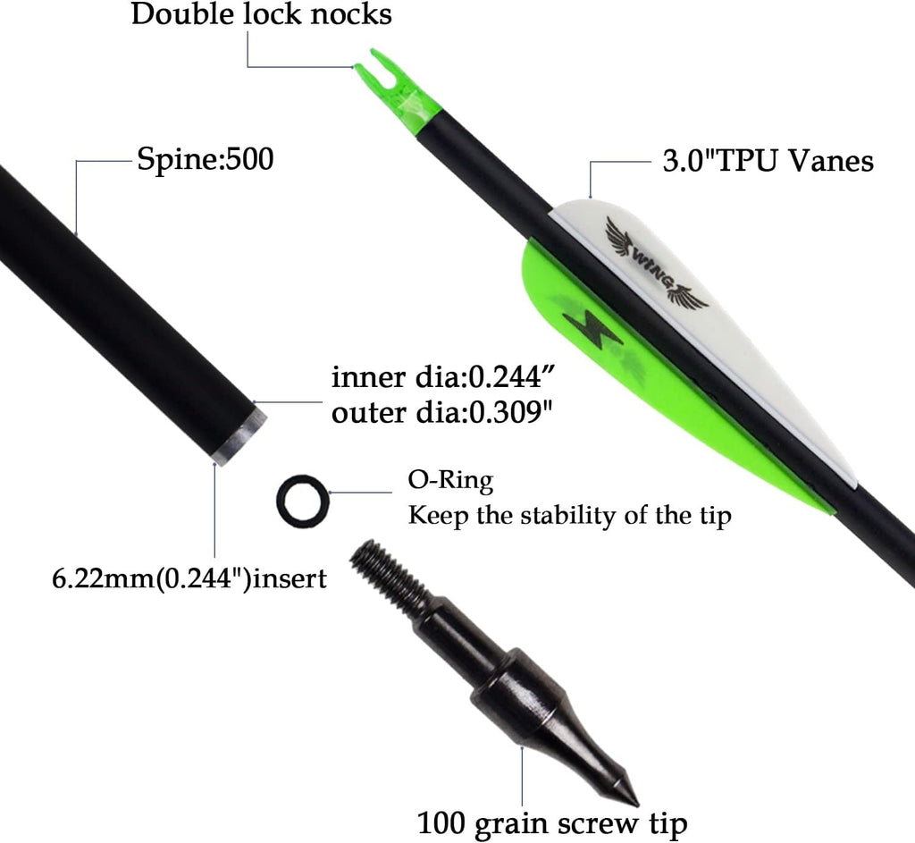 31inch Carbon Arrow Archery Targeting Practice Hunting Arrows for Compound & Recurve Bow with Removable Tips(Pack of 12)
