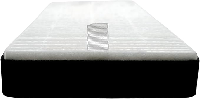 Nispira F1 C01 T02 HEPA Replacement Filter for 3M Filtrete Room Air Purifier FAP-C01-F1, FAP-T02-F1, FAP-C01BA-G1, FAP-T02WA-G1, FAP-ST02W, FAP-ST02N. 12 in. x 6.75 in. Part FAPF-F1-A. 2 Pack