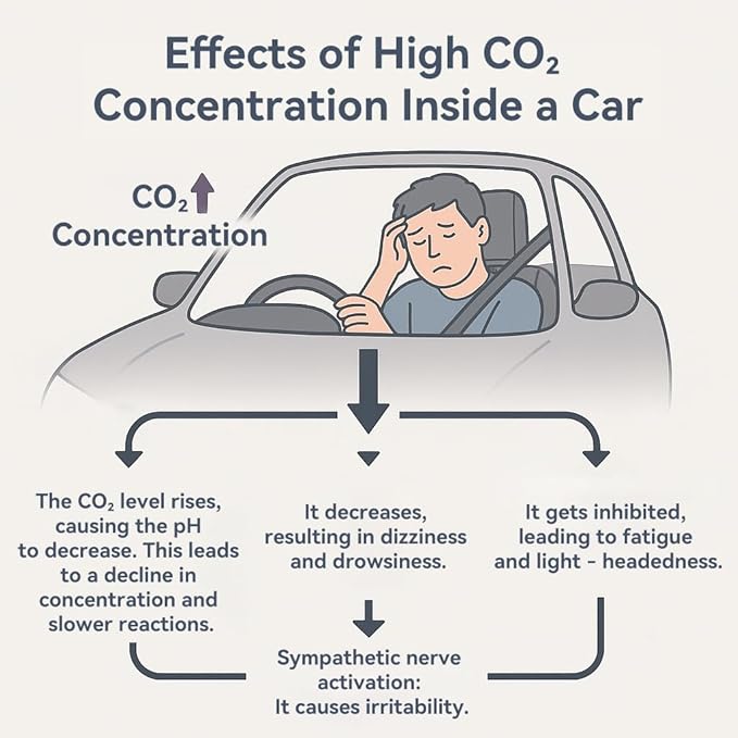 Car CO2 Monitor, Plug-in, No Battery Needed, Real-Time 10s Sampling, Rotatable Color Screen, Beep Alarm for High CO2, Fits 12V/24V Vehicles