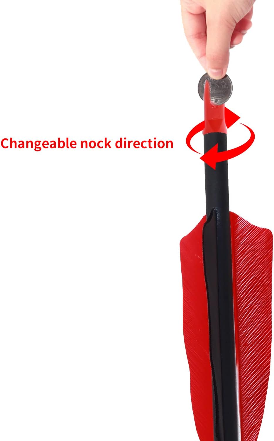 Archery 31" Hunting Arrows with 4" Natural Turkey Feather Carbon Arrows Target Practice Arrows for Traditional Bow Recurve Bow & Longbow - 12Pcs