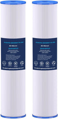 H&G Lifestyles 20" x 4.5" 20 Micro Whole House Pleated Sediment Water Filter for Well Water, Removes Dust Sands Impurities,Replacement Compatible with 20 X 4.5 Water Filtration System 2pcs