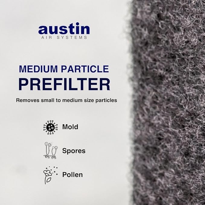 Austin Air Healthmate Junior Replacement Filter, Black – Zeolite, Air Filters for Home, and Carbon Filter Replacement for Superior Air Quality, Model FR200