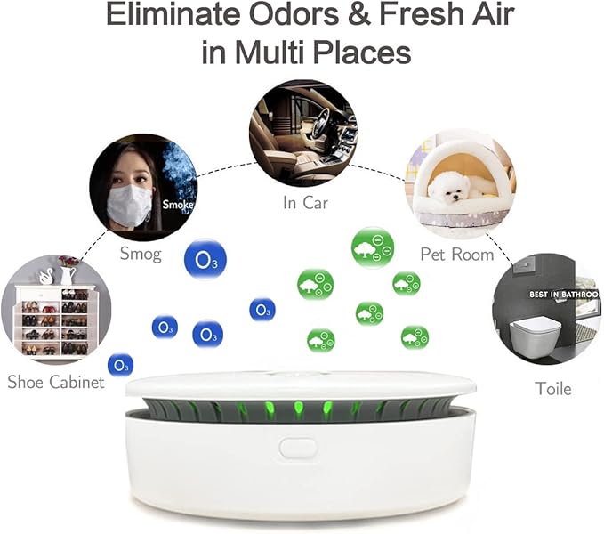 Portable Ozone & Ionic Air Purifier 2 in 1, Rechargeable, Purifying Air and Eliminate Odor