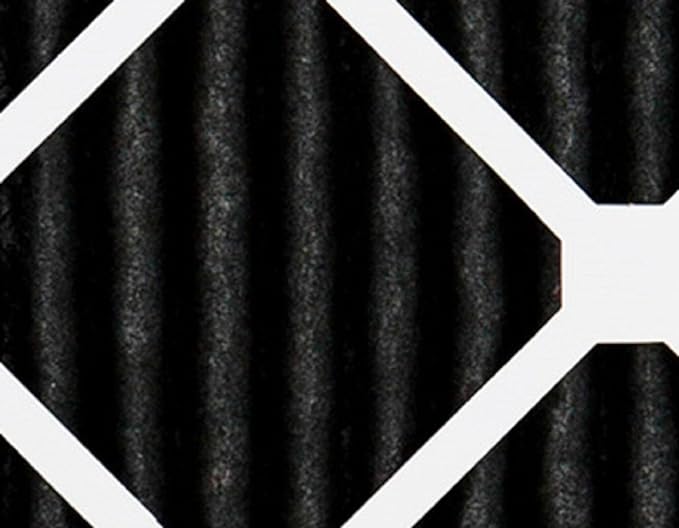 Nordic Pure 20x20x1 (19 1/2 x 19 1/2 x 3/4) Pure Carbon Pleated Odor Reduction Furnace Air Filters 6 Pack