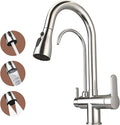 Kitchen Sink Faucet with Pull - Down Sprayer, 2 - Handle 3 - in - 1 Kitchen Sink Filter Faucet, Cold and Hot Mixer Drinking Water Faucet (Chrome-02)