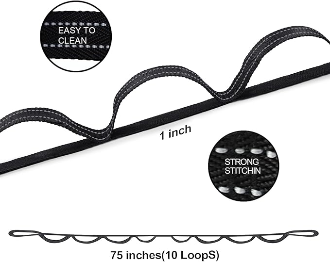 Premium Durable Stretch Straps with Loops, Stretching Strap for Physical Therapy, Multi-Loop Yoga Strap Fitness Exercise Strap for Yoga, Pilates, Dance, Flexibility&Exercise-FlexoryFit