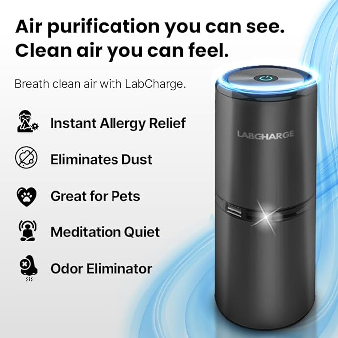 Small Ionic Air Purifier for Home & Bedroom – Silent HEPA Filter – Covers 250 Sq Ft - Free Cleaner for Pets, Hair, Smoke, Dust, Odors & Dander – Compact & Black Design - Pack of 3