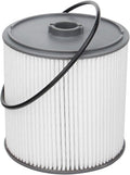 AULDAY Fuel Filter Fits for Ram 2500 3500 4500 5500 6.7L 2019 2020 2021 2022 by Unknown
