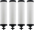 【Upgraded】Renami Ceramic Filter Silver Infused Replacement by Renami