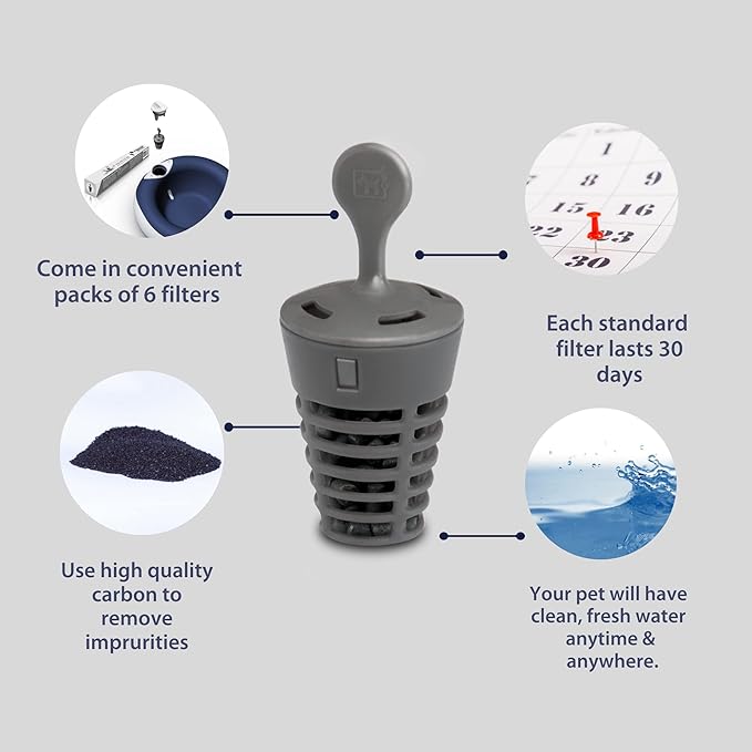 Standard Replacement Filters (6-Pack)