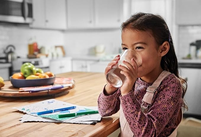Frigidaire PureSource WFCB Water Filter